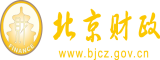 JJ插BB的视频北京市财政局